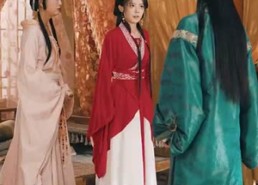 短剧《为婢之明月传 (90集)》热门短剧全集在线速览