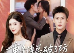 短剧《重逢傅总破了防，花式追妻（86集）》热门短剧免费在线追