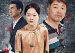 短剧《老年婚姻过不好离不了（50集）》短剧免费看完整无广告