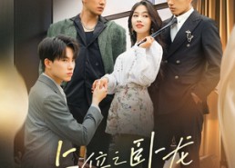 短剧《上位之卧龙不笑凤雏（63集）》精彩短剧在线畅享观