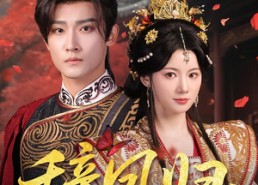 短剧《辞凤归（70集）》免费短剧全集任你观