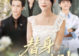 短剧《替身表演法则（85集）》经典短剧免费全集畅看