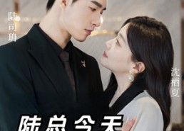 短剧《陆总今天吃醋了吗（50集）》精彩短剧免费全集观