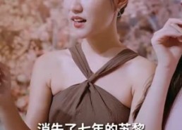 短剧《稚子牵父衣（80集）》热门短剧免费全集观