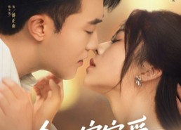 短剧《今日宜宠爱（80集）》精彩短剧在线畅享观看