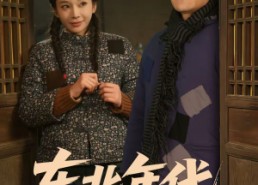 短剧《东北年代之来了老弟儿（79集）》精彩短剧全集免费览