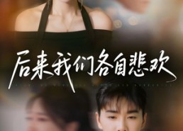 短剧《后来我们各自悲欢（70集）》短剧完整版免费畅享