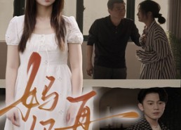 短剧《妈妈，再见（28集）》免费短剧全集高清看