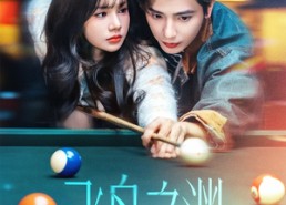 短剧《飞鸟之渊（67集）》热门短剧免费在线播