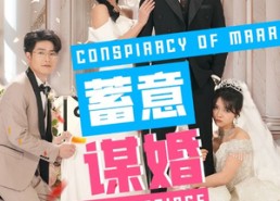 短剧《蓄意谋婚（30集）》短剧全集免费畅快看