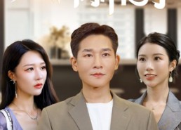 短剧《夫妻本是同林鸟（76集）》爆款短剧免费全集观