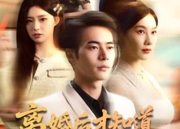 短剧《离婚后才知道赘婿是仙君（66集）》短剧全集高清在线播放