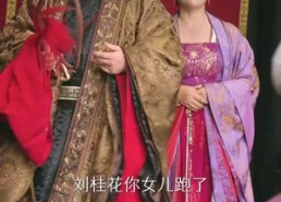 短剧《卖菜大妈竟是皇嫂（91集）》超火短剧全集免费看