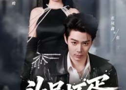 短剧《头号坏蛋（58集）》短剧免费全集在线赏