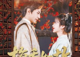 短剧《梅香如故（60集）》短剧佳作全集免费赏