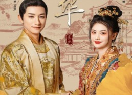 短剧《医妃风华（62集）》免费短剧全集高清赏看