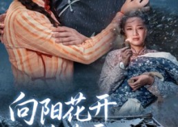 短剧《向阳花开并蒂霜（60集）》短剧高清免费全集看