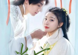 短剧《傻子王爷娇宠妃&当家（50集）》超甜短剧免费全集看