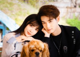 短剧《依旧失控（78集）》短剧在线免费全集览