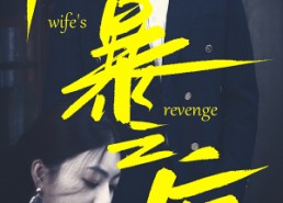 短剧《风暴之后（80集）》免费短剧全集高清赏看