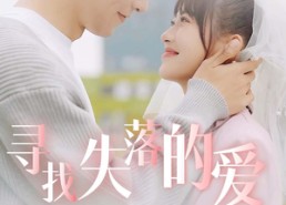 短剧《寻找失落的爱（79集）》短剧全剧集免费观赏