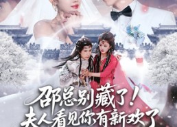 短剧《邵总别藏了！夫人看见你有新欢了（70集）》短剧免费全集畅快追