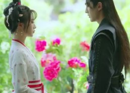 短剧《真凰归来（64集）》优质短剧全集免费观