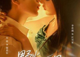 短剧《野火灼星（56集）》短剧全集高清免费播放