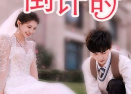 短剧《婚后心动倒计时（33集）》短剧在线免费追全集