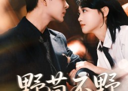 短剧《野茴不野（67集）》热门短剧全集免费畅享