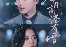 短剧《今日离港有雪（83集）》精彩短剧全集在线览