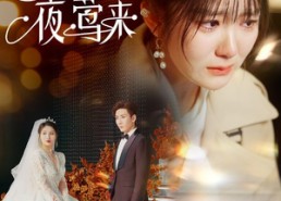 短剧《春信不至夜莺来（50集）》热门短剧全集免费观赏