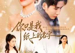 短剧《你只是我纸上的名字（68集）》免费短剧全集高清来袭