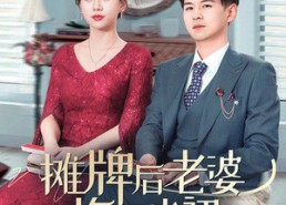 短剧《摊牌后老婆悔不当初（40集）》短剧高清全集免费观
