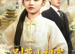 短剧《别惹小祖宗，她只会打脸（64集）》高分短剧全集免费在线赏