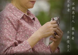 短剧《身价三亿的老娘被送进了养老院（30集）》热门短剧免费在线追剧