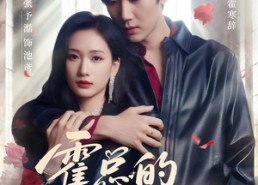 短剧《霍总的掌中娇（80集）》短剧免费高清全集播放