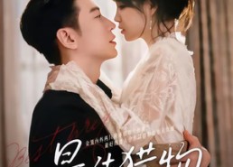 短剧《最佳猎物（80集）》短剧免费畅享完整剧情