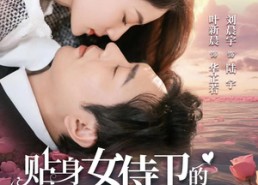 短剧《贴身女侍卫的契约婚姻（91集）》免费短剧在线完整看