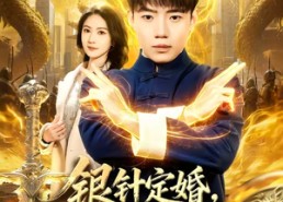 短剧《银针定婚，医武双绝闯青山（74集）》热门短剧全集在线播放