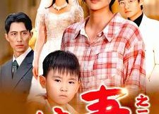 短剧《娘妻之一诺千金（67集）》精彩短剧高清在线播