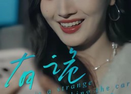 短剧《有诡拦车（32集）》短剧全集免费在线享