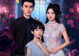 短剧《我的爹地是狼人（78集）》热门短剧全集免费观