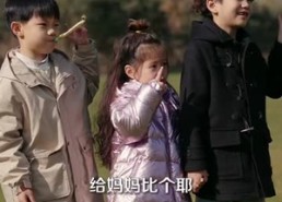 短剧《风起时见你（93集）》短剧全集免费在线览