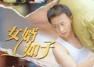 短剧《女婿如子（40集）》免费短剧全集畅快追