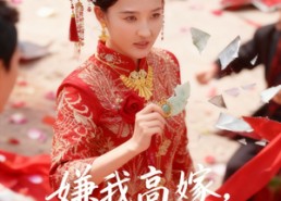 短剧《嫌我高嫁，那就不嫁（62集）》精彩短剧全集免费观