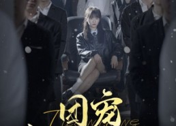 短剧《团宠六小姐太野，禁欲妄爷难把持（90集）》短剧超清全集免费赏