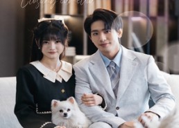 短剧《落幕山茶花（50集）》精彩短剧免费在线速看