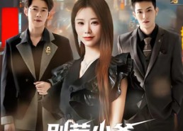 短剧《别惹少爷，他姐是宠弟狂魔（60集）》热门短剧全集免费观看