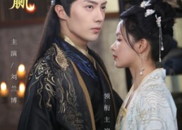 短剧《步步为赢（37集）》短剧免费全集畅快览